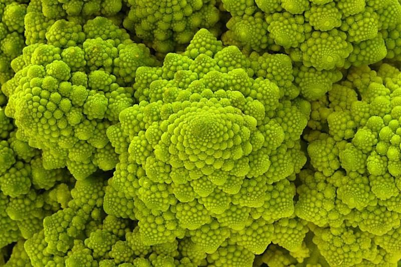 Illustration for article titled Incredible Photographs of Fractals Found in the Natural World